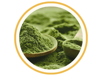 Chlorella