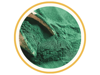 Spirulina