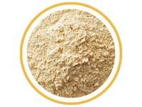 Maca