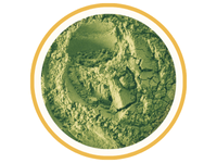 Moringa