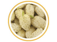 Mulberry