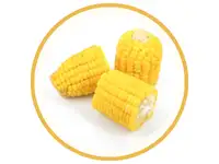 Kukurūzai