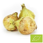 Švieži geltonieji svogūnai BIO Lenkija - apie 5 kg