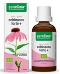 Ežiuolės forte (Echinacea purpurea) lašai maisto papildas bio 50 ml