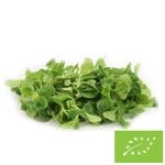 Šviežios neplautos avienos salotos BIO (apie 0,10 kg)