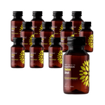 RINKINYS 12 x Kombucha BIO Probiotic Detox Shot 100ml