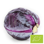 KOLEKTYVINIS PAKETAS (kg) - KAPUSTA CZERWONA MŁODA ŚWIEŻA BIO (LENKIJA) (apie 10 kg)
