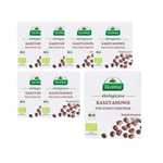 RINKINYS 7 x Kaštonų traški duona be glitimo BIO 100 g