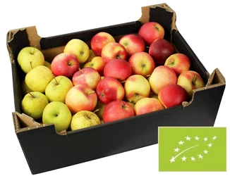 Šviežių BIO obuolių sultys Lenkija - apie 5 kg