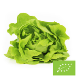 Šviežios salotos BIO (Lenkija) (apie 0,20 kg)