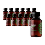 RINKINYS 12 x Kombucha BIO Probiotic Energy Shot 100ml