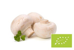 Baltieji grybai BIO 250 g