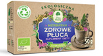 Sveikų plaučių arbata Ekologiškas maisto papildas 50 g (25 x 2 g) - Dar Natury
