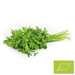 Šviežios petražolės BIO (Lenkija) (apie 35 g)