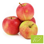 Šviežių BIO obuolių sultys Lenkija - apie 5 kg