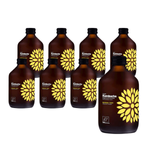 RINKINYS 8 x Kombučia ciberžolė + imbieras BIO 330 ml