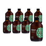 RINKINYS 8 x Kombučia Agurkas+Korijandras BIO 315 ml