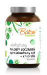 Jaunų miežių sulčių milteliai + chlorella 500 mg tabletės, maisto papildas 120 g - Batom