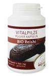 Reishi grybai (lakišiai) BIO 100 kapsulių (620 mg)