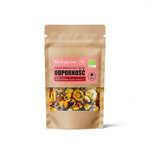 Vaisiniai priedai musliams ir desertams imunitetui BIO 20 g – Dary Natury