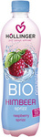 Aviečių gazuotas gėrimas Bio 500 ml - Hollinger
