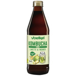 Kombuča kalkių ir imbiero BIO 330 ml