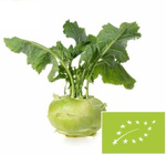 Švieži kaliaropės bio (Lenkija) (apie 0,20 kg)