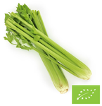 Švieži salierai BIO (apie 0,35 kg) 1 vnt.