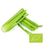 SNOW SELER ŚWIEŻY BIO (LENKIJA) (apie 0,30 kg)