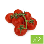 Švieži ekologiški pomidorai su šakelėmis (apie 0,45 kg)